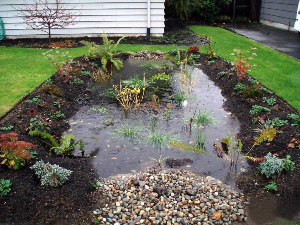 Cría Intentar Esmerado Jardines de lluvia | Portal Inmobiliario