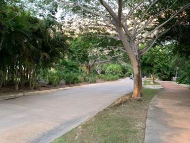 Fotografía 6 de Terreno Sobre Avenida Paseo Del Jaguar En El Yucatán Country Club Con Acceso A P