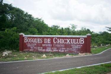 Fotografía 16 de Bosques de Chicxulub